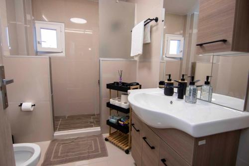 a bathroom with a sink and a shower and a toilet at Woodoven home - pool, bbq & outdoor cinema in Tympáki