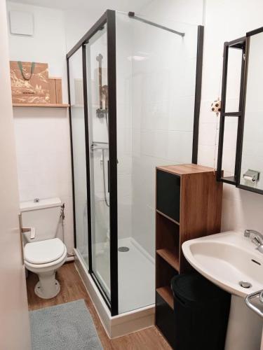 une salle de bain avec une douche, des toilettes et un lavabo dans l'établissement Studio 4 personnes - vue sur port du Pouliguen - Parking privé, linge fourni, au Pouliguen