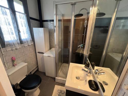 une salle de bain avec un lavabo, une douche et des toilettes dans l'établissement T2 avec Balcon et Parking vue mer !, à Saint Cyprien Plage