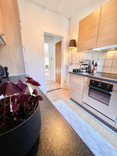 a kitchen with a counter with a potted plant at VB Central Apartment in Vejle