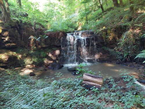 Photo de la galerie de l'établissement Jolie maison en plein pays vert., à Sainte-Fortunade