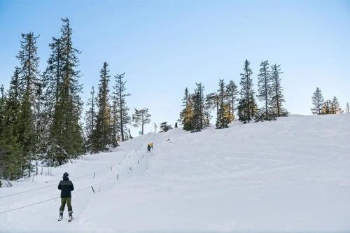 a person skiing down a snow covered slope with trees at Family Cabin With Panoramic View Near Vikerfjellet in Hønefoss