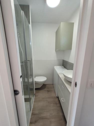 une salle de bain avec toilettes et douche en verre dans l'établissement Studio Saint Georges de Didonne, à Saint-Georges-de-Didonne