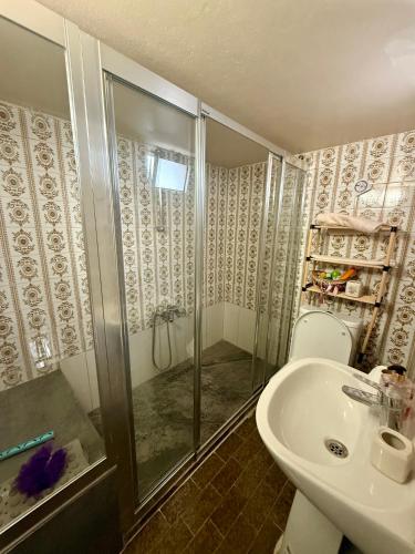a bathroom with a shower and a toilet and a sink at Arsinoe Guest House in Famagusta
