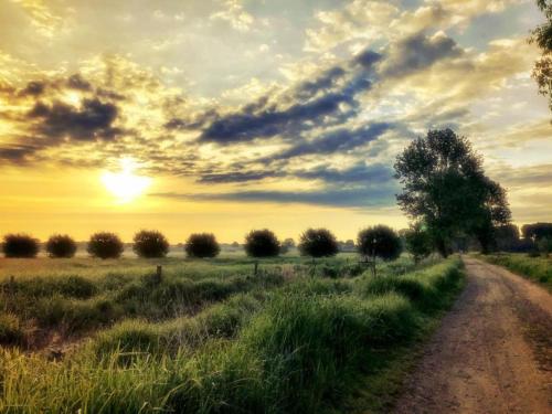 a dirt road in a field with a sunset at Auszeit am Moor in Duvensee