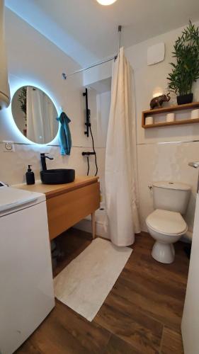 une salle de bain avec un lavabo, des toilettes et un miroir dans l'établissement studio agréable à 2 pas du centre ville, à Vannes