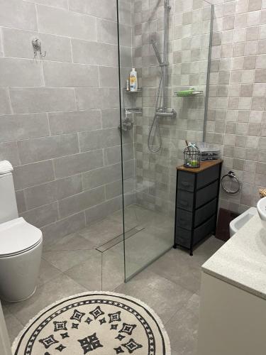 a bathroom with a shower with a toilet and a sink at Toes in the sand in São Roque