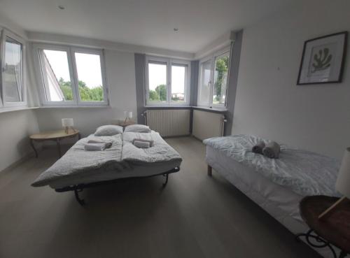 a bedroom with two beds and two windows at Chez Jeanine Maison Familiale in Schaeffersheim
