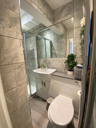 a bathroom with a toilet and a sink and a mirror at Coastguard Cottage in Isle of Wight