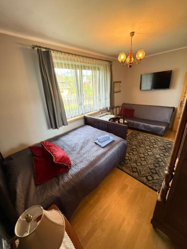 a living room with a bed and a couch at Noclegi u Ewy in Witów