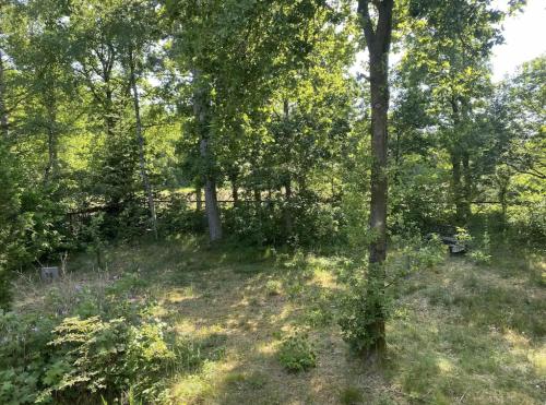 a wooded area with trees and grass at House Near Woods And Fields In Mols Bjerge in Kolind