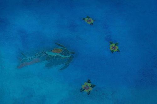 an overhead view of a turtle and stars in the ocean at Tipsy Turtle - Waterfront Pool Home, Direct Atlantic Access! in Marathon