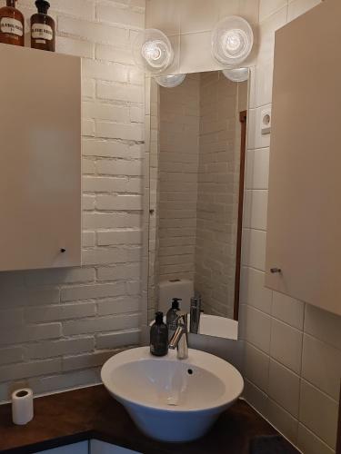 a bathroom with a white sink and a mirror at Villa Tammio in Uusikaupunki
