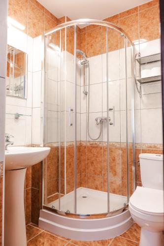 a bathroom with a shower and a toilet at Kamea in Pobierowo
