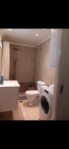 een badkamer met toilet en wasmachine bij Thea Marina ! in Livadion