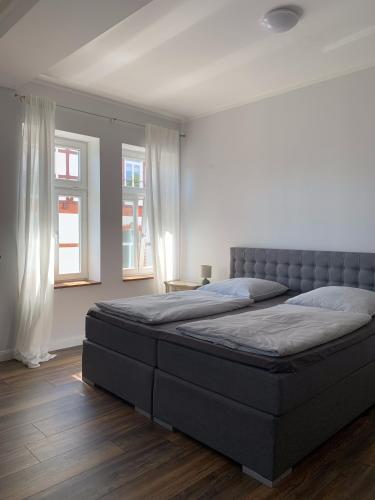 バート・ヴィルドゥンゲンにあるVilla Alexandra 1897 Wohnung Vilmaの大きなベッドと2つの窓がある寝室