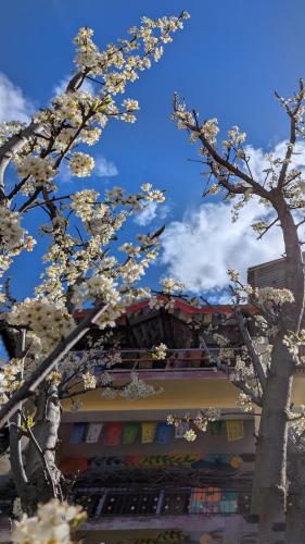 a tree with white flowers in front of a building at Ikigai Manali in Nagar
