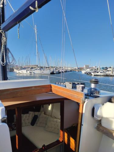 une vue de l'arrière d'un bateau dans une marina dans l'établissement Eden Explorers - De la Terre à la mer avec Saga, à Ouistreham
