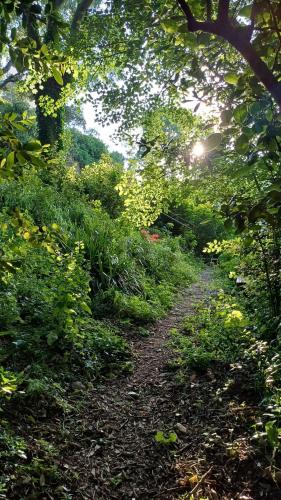 Photo de la galerie de l'établissement Sud de France, lieu calme & nature, à Brignac