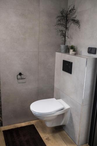 a bathroom with a toilet and a plant on the wall at M.F. in Znojmo