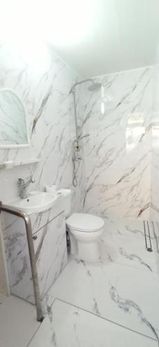 un bagno bianco con un water e un lavandino di Эдем a Tbilisi City