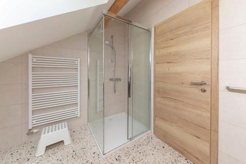 eine Dusche mit Glastür im Badezimmer in der Unterkunft Brlog 2 in Zgornje Gorje