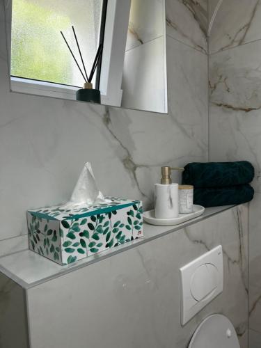 Un baño con un estante con una caja de pañuelos. en Apartman Rawda 2, en Jajce