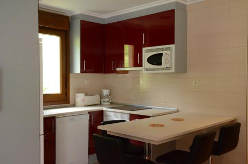 Kuchyň nebo kuchyňský kout v ubytování Apartamentos el Rincon de Limes