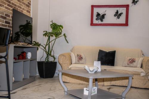 TV/trung tâm giải trí tại Terra Green 2