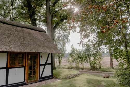 Κήπος έξω από το Romantic Nights Under The Thatched Roof