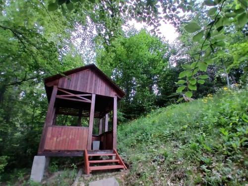 une maison extérieure en bois au milieu d'un champ dans l'établissement Домашній затишок, à Slavsko