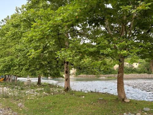 three trees in the grass next to a river at Wooden House Martvili in Martvili