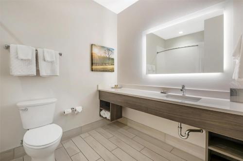 a bathroom with a toilet and a sink and a mirror at Best Western Plus Elizabethtown Inn & Suites in Elizabethtown