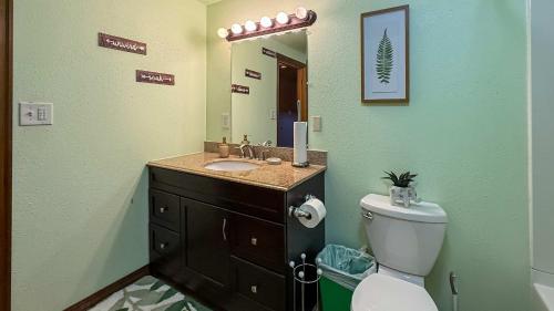 a bathroom with a sink and a toilet and a mirror at Evergreen Haven in Port Angeles