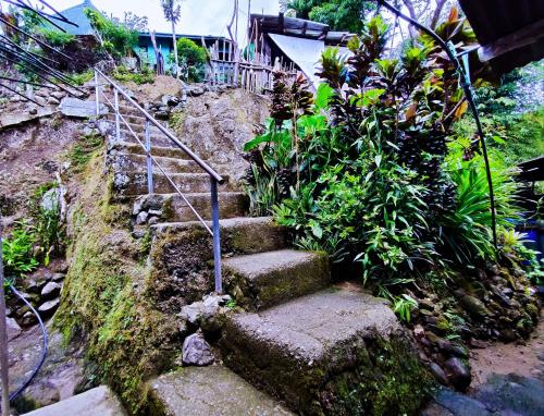 a set of stairs on a hill with plants at BATAD Simons Viewpoint Inn and Pizza Restaurant in Banaue