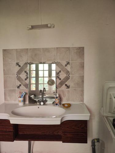 une salle de bain avec un lavabo et un miroir dans l'établissement Ancien Hôtel des Touristes, à Cabrerets