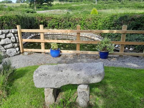 Un jardín fuera de St Mullins Natural Camping