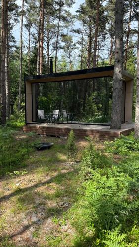 a glass house in the middle of a forest at Mooni Minivilla in Haversi