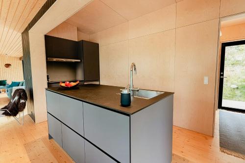 a kitchen with a sink and a counter top at Modern Architectural Gem By The Lake In Immeln in Immeln