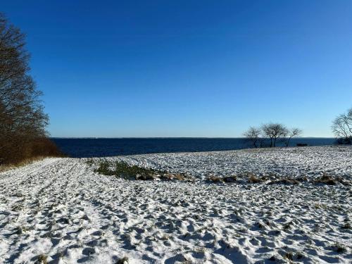 a snow covered beach with trees and the water at Holiday Home With Fjord Views By Isefjord in Nykøbing Sjælland