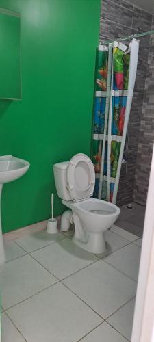 um banheiro com vaso sanitário e uma parede verde em Fare de l'escale Em Faaa