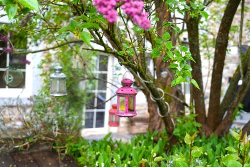 a pink lantern hanging from a tree in front of a house at Chez Gégé - Maison d'hôtes in Trooz