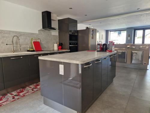 une cuisine avec des armoires en acier inoxydable et un grand îlot dans l'établissement Maison Vidal II, à Coubisou