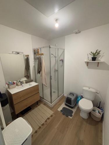 une salle de bain avec une douche, des toilettes et un lavabo dans l'établissement Studio lumineux 45m2, à Veigy-Foncenex