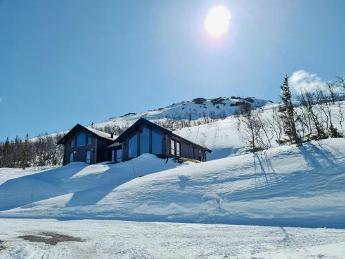 Luxury Mountain Home With View On Gaustablikk om vinteren