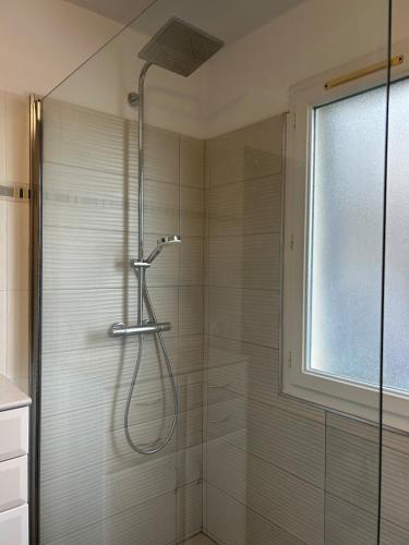 une douche avec pommeau de douche dans une salle de bain dans l'établissement Charmant appart ,Proche de la plage, à San-Martino-di-Lota