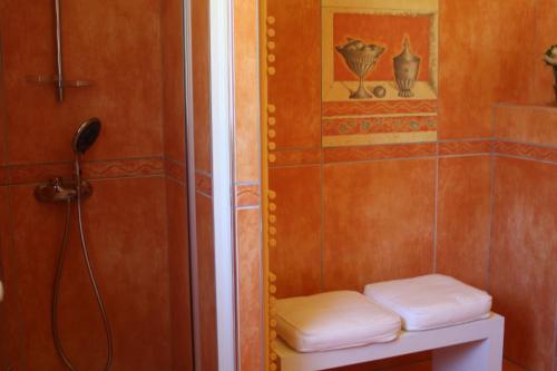 a bathroom with a shower and a toilet with towels at Le Gîte du Soleil in Rosières