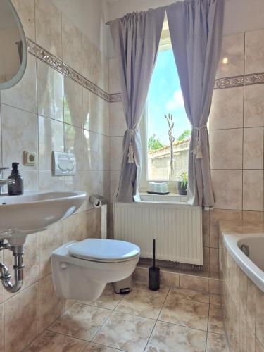a bathroom with a toilet and a sink and a window at Ferienhaus Bärbel Großes Ferienhaus nahe Quedlinburg in Ditfurt