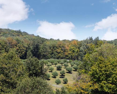 an overhead view of a garden with trees and bushes at Pocono Mountain Maple Farms in Newfoundland