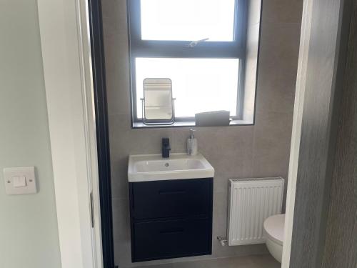 a bathroom with a sink and a window and a toilet at Lakeside lodge in Kilfenora